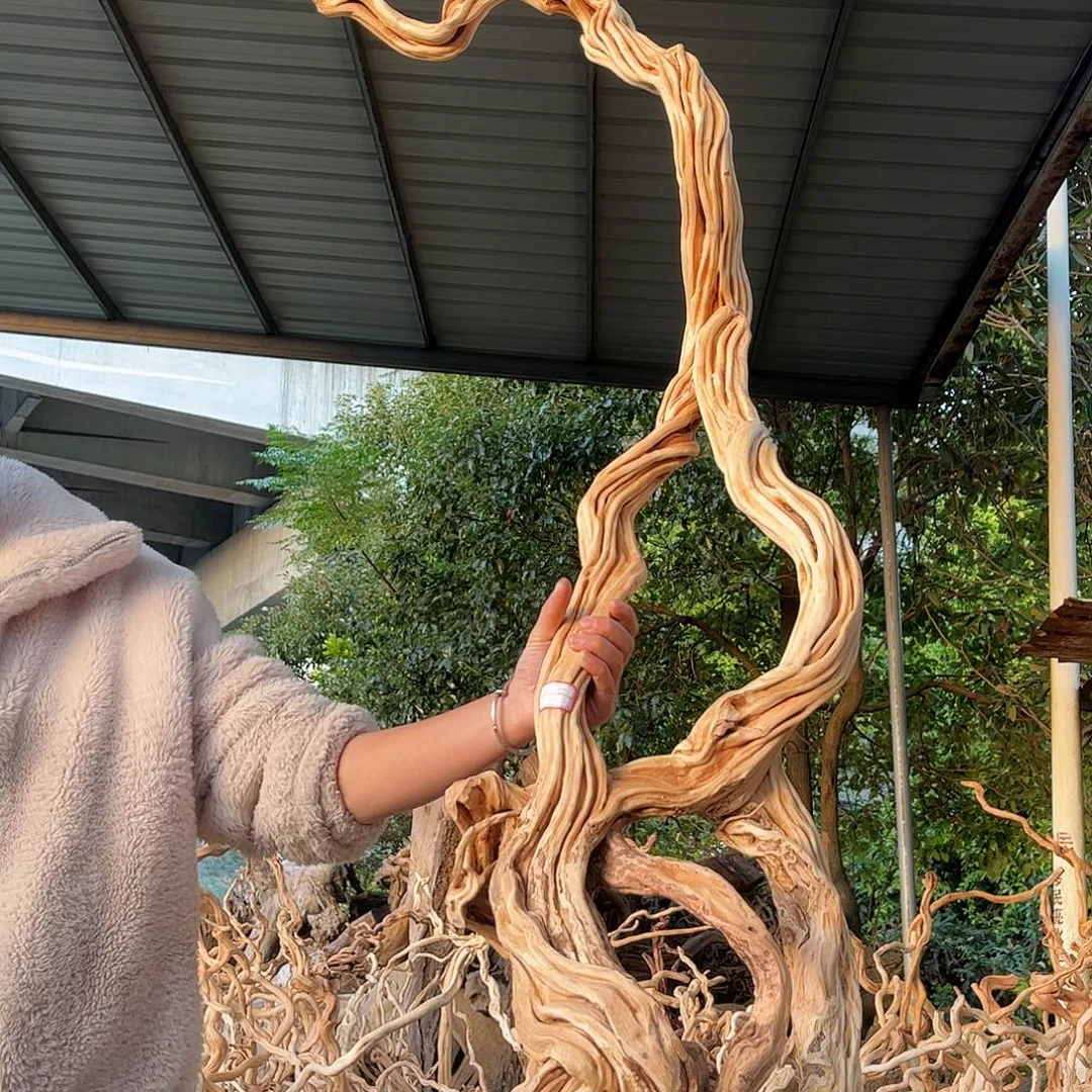 文***匪木我是一只小小鸟地域