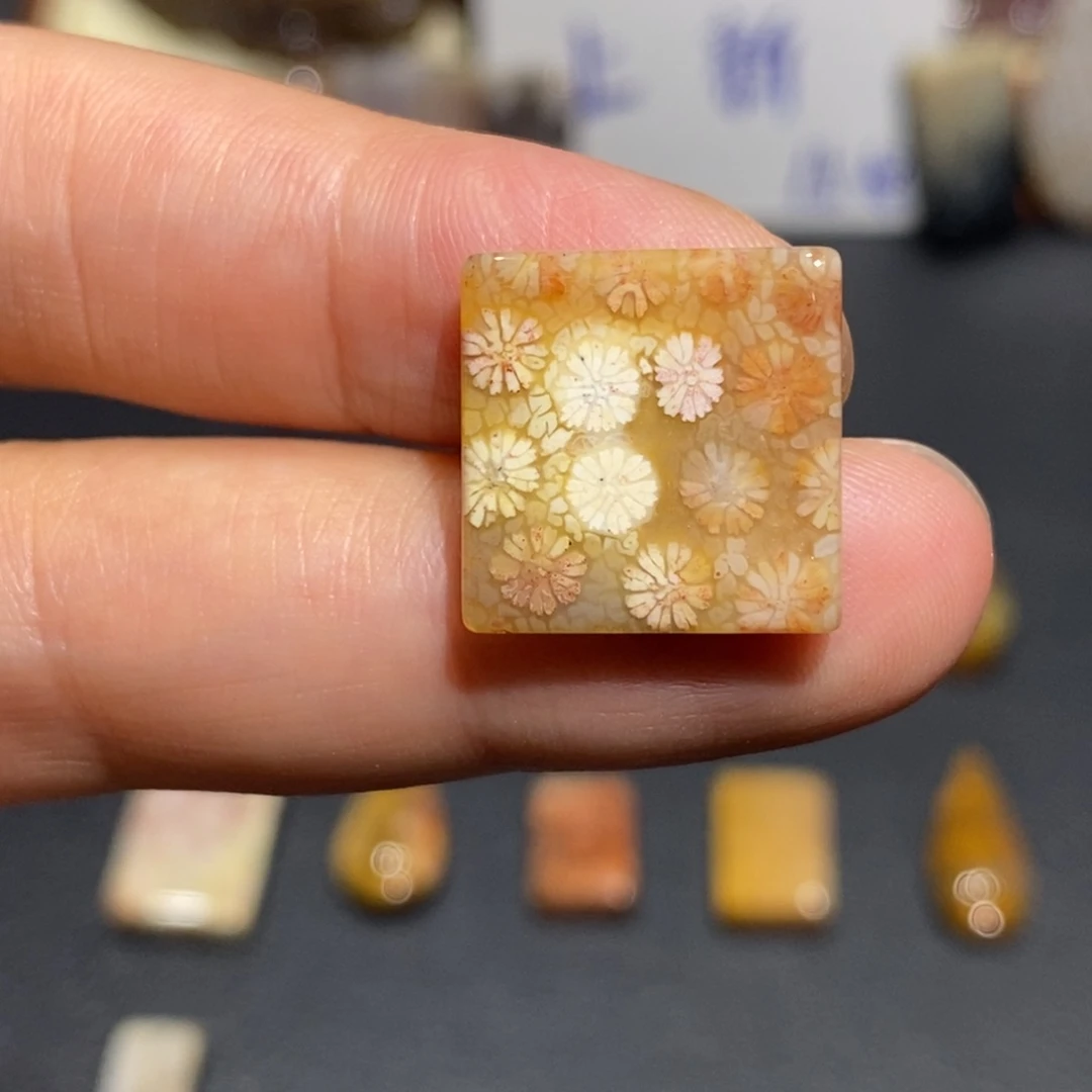 【闪购商品】未镶嵌珊瑚玉硅化玉