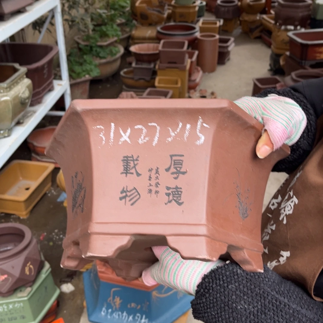 花盆紫砂盆景艺术