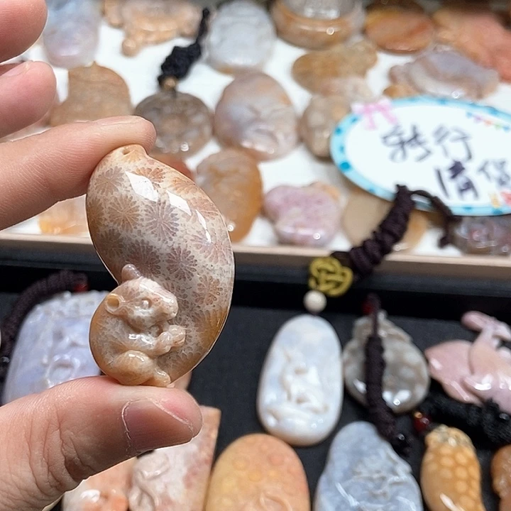 颈饰未镶嵌硅化珊瑚（珊瑚玉）