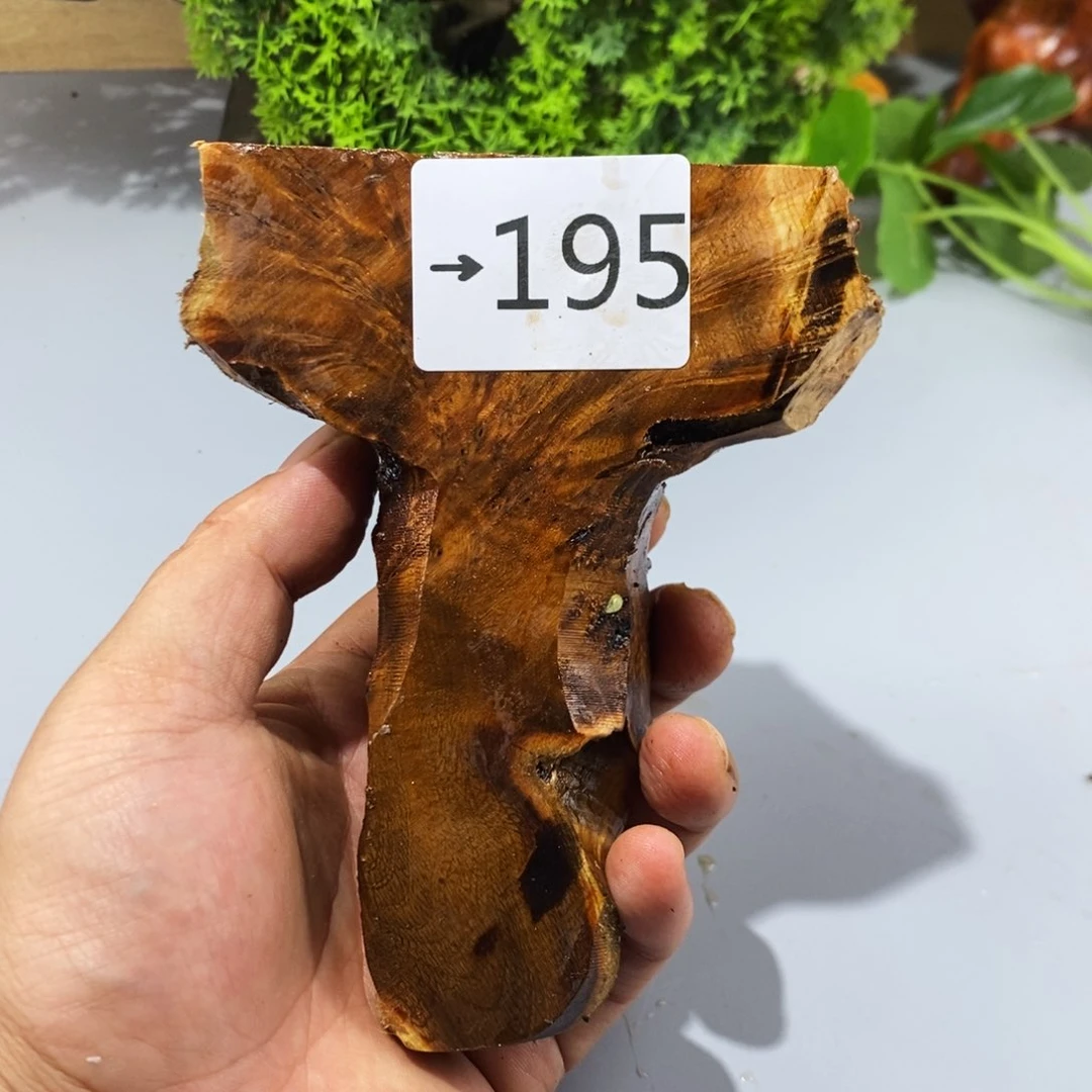 竹夏*麻梨疙瘩木
