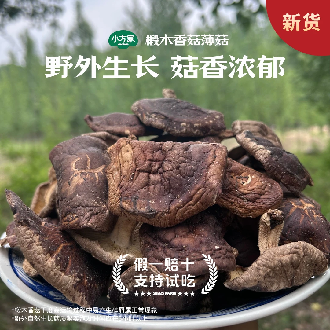 【小方家】深山椴木香菇蘑菇香信菇椴木薄菇野外生长香菇干货