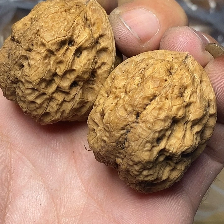 文玩核桃把件云南铁核桃77