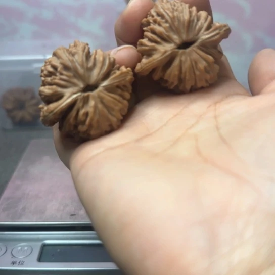 文玩核桃吊坠W**e核桃