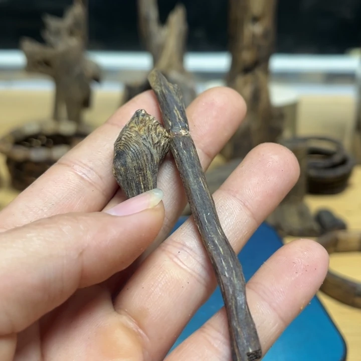 L***g沉香沉香碎屑包壳跟树心油