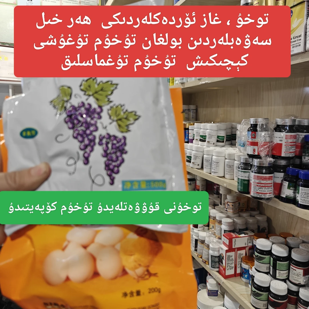 ALTunToga鸡 ﺗﯘﺧﯘﻡ ﺗﯘﻏﺪﯗﺭﯗﺵ [DUODAN YINGYANG]