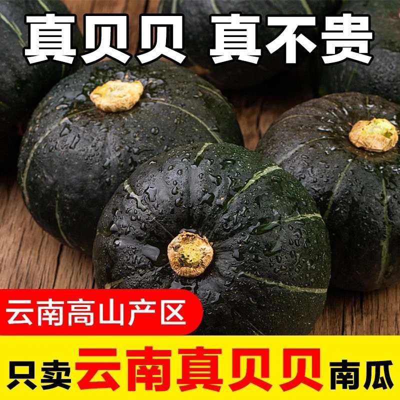 云南山地正宗老品种贝贝南瓜微瑕新鲜板栗味正宗粉糯香甜产地直发