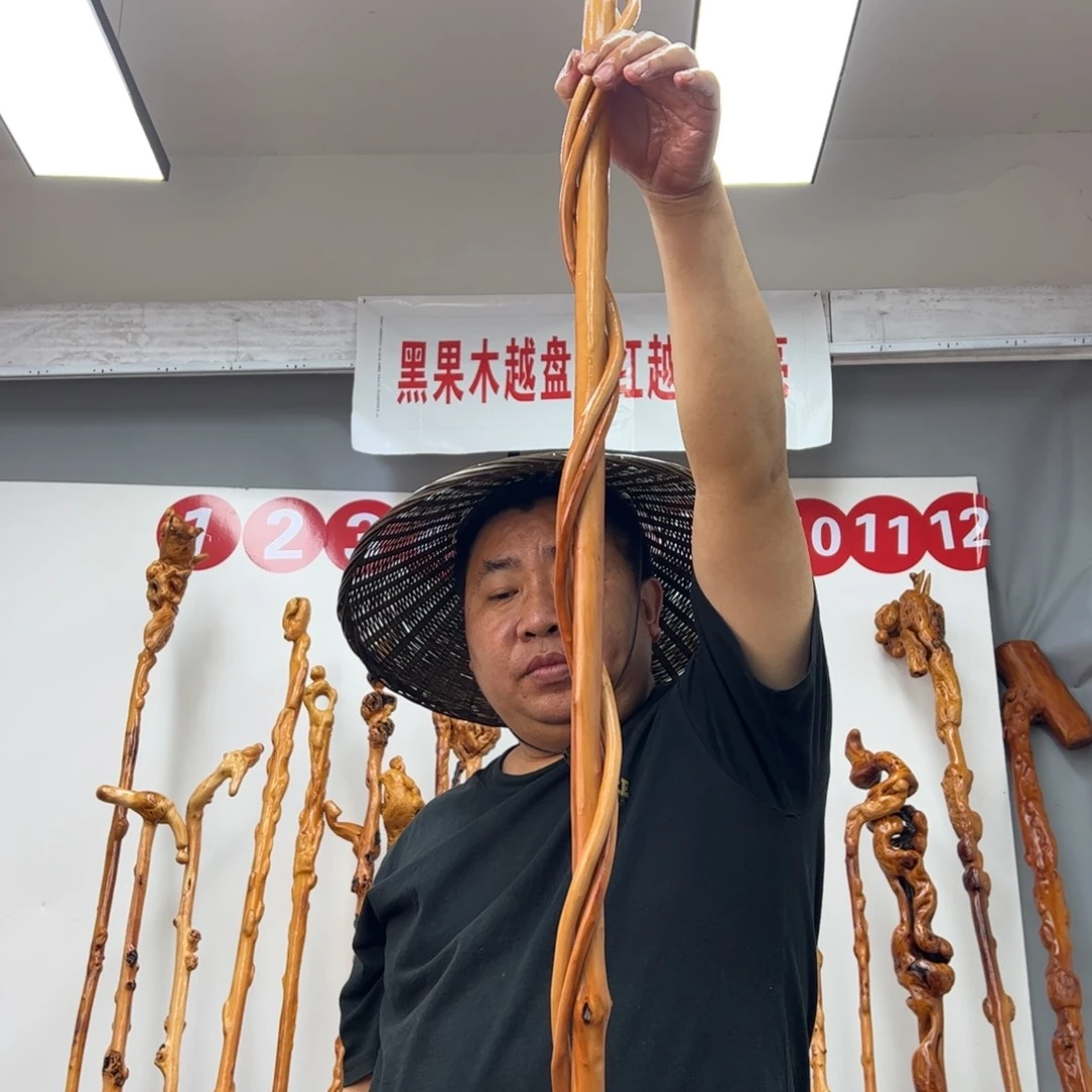 黑果木其他小**孟黑果木654