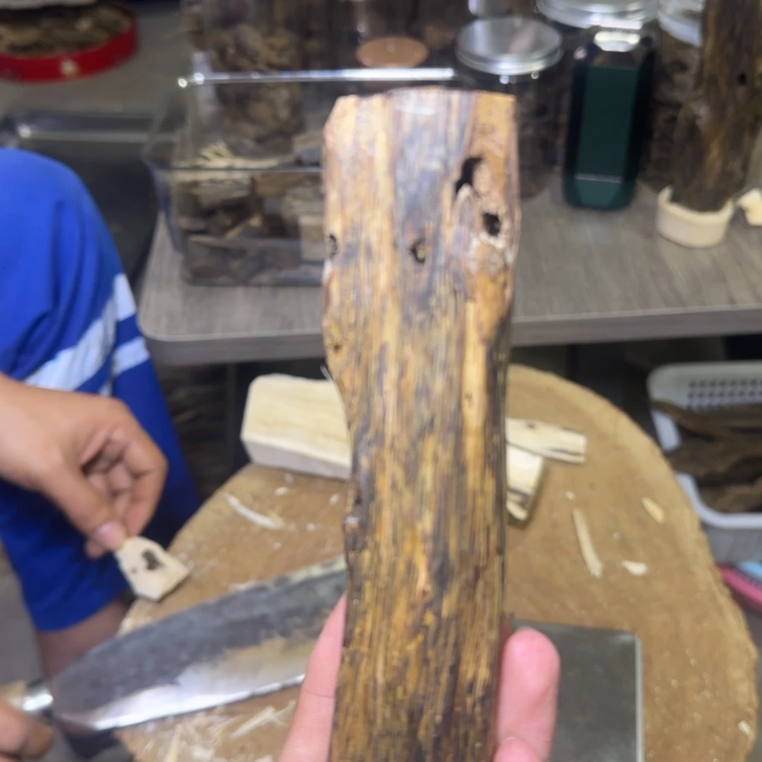 线香绿奇熏香虫漏发一份