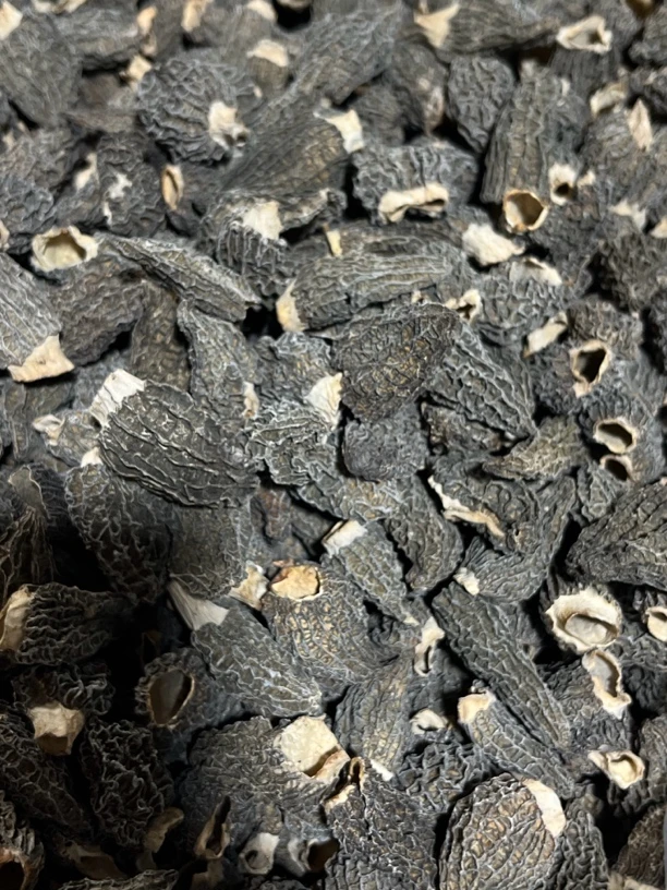 铁疙瘩羊肚菌0528