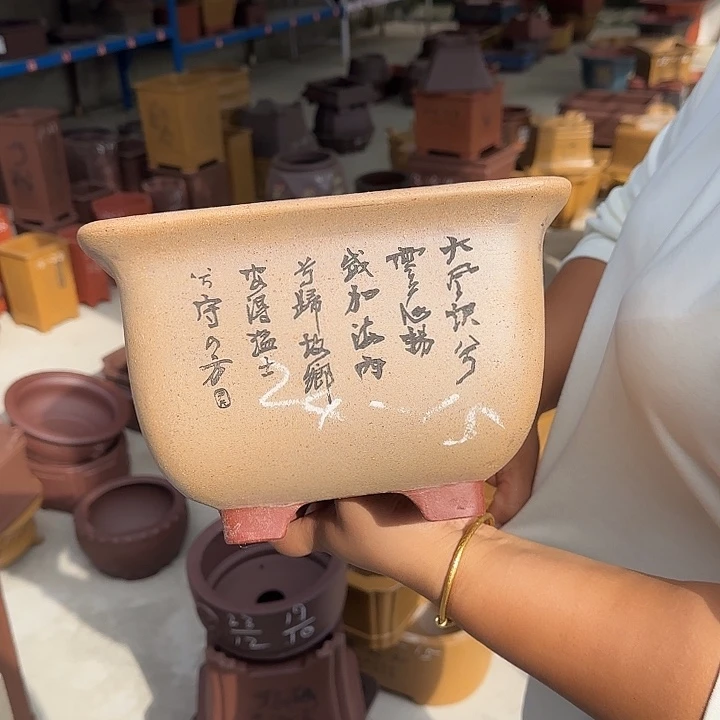 花盆紫砂你就在家里