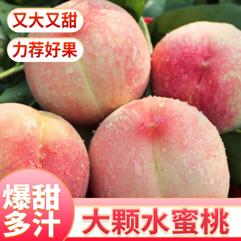 【次日达】正宗四川爆甜大果放软可撕皮香甜四川应季水果