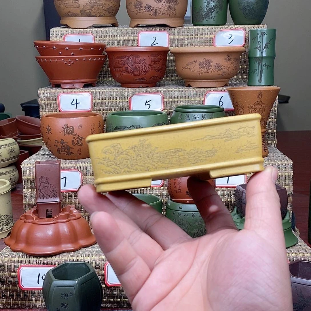 紫砂花盆我在等一