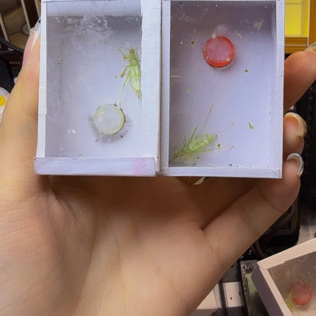 哈哈哈哈哈哈哈哈哈