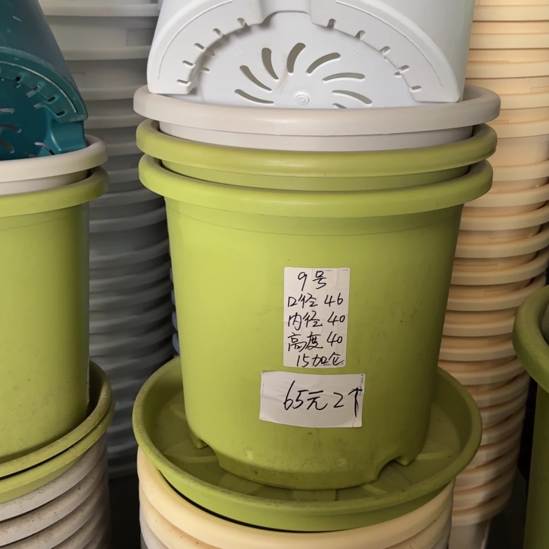 微瑕9#口径46无拖果绿3个