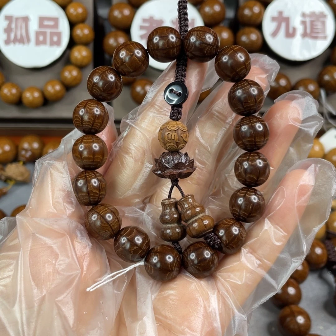 六道木九道 枯树， 毕业1.2