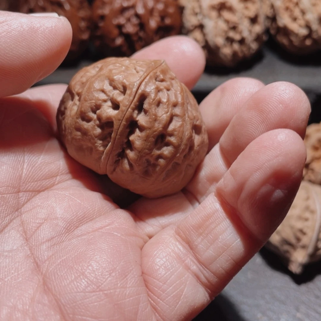 【闪购商品】文玩核桃把件菊*羲东北楸子87