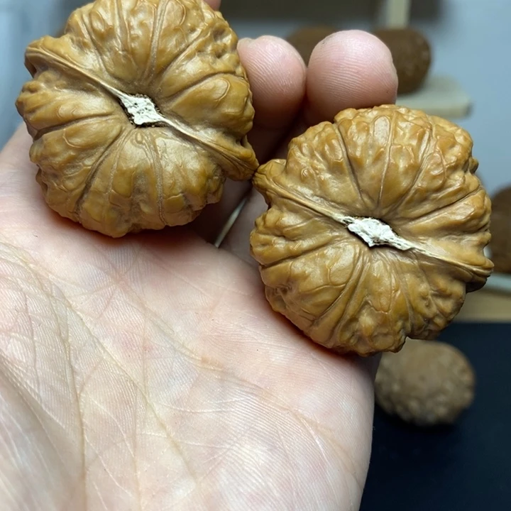 核桃44尺寸南瓜敦一对