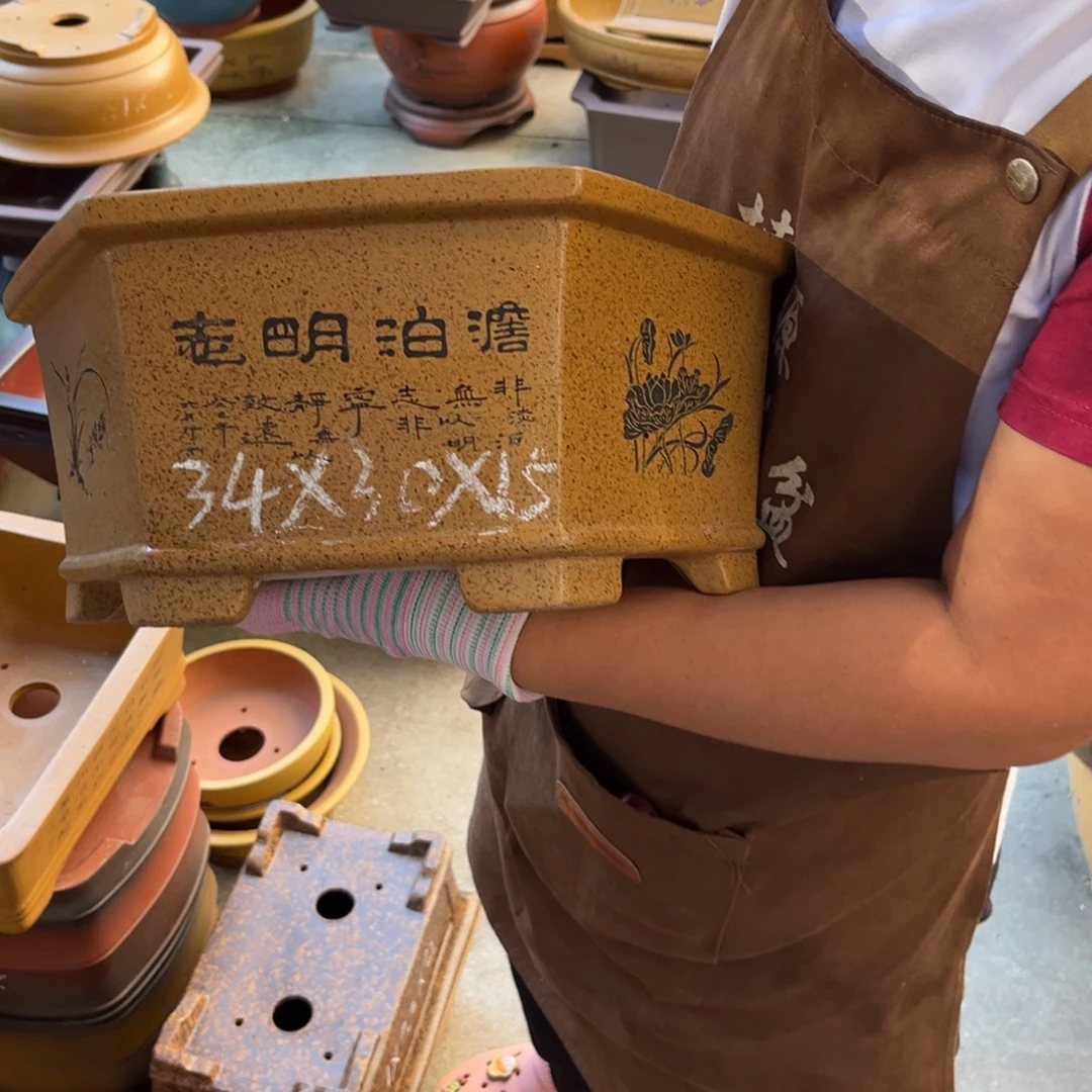 紫砂花盆盆景艺术