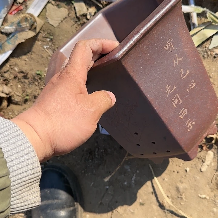我想说什么都没有啊怎么说呀想的就