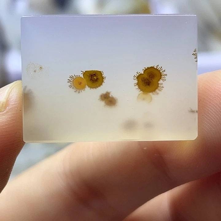 未镶嵌颈饰玛瑙/玉髓