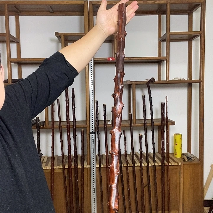 A***糕木北对节雀梅棍50