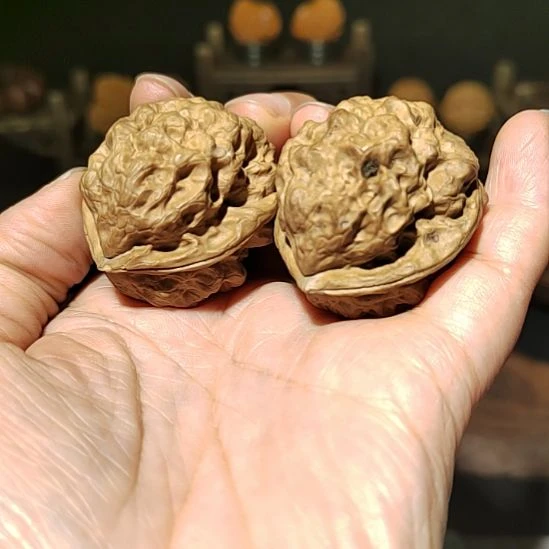 把件文玩核桃福利五毒蟾38尺