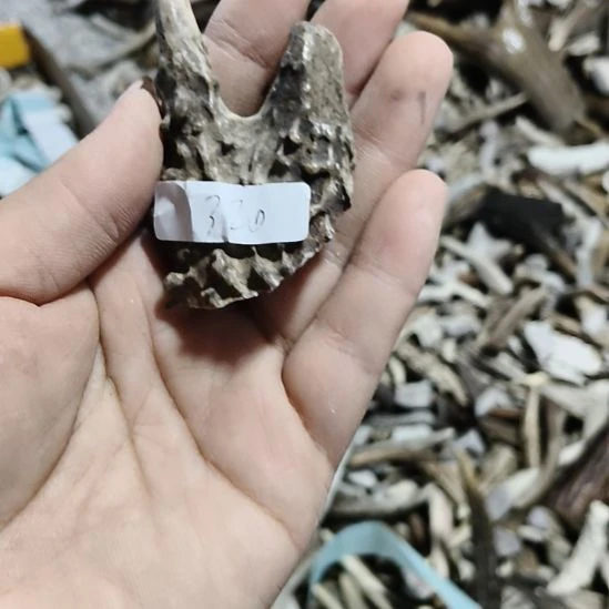 梦***圆陶瓷鹿角鹿角鹿角鹿角鹿角鹿角