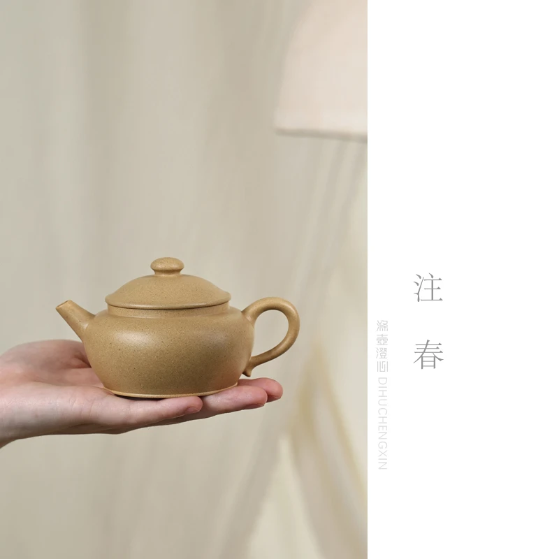 涤壶澄心[注春]180毫升大水潭绿泥宜兴黄龙山原矿紫砂壶手工