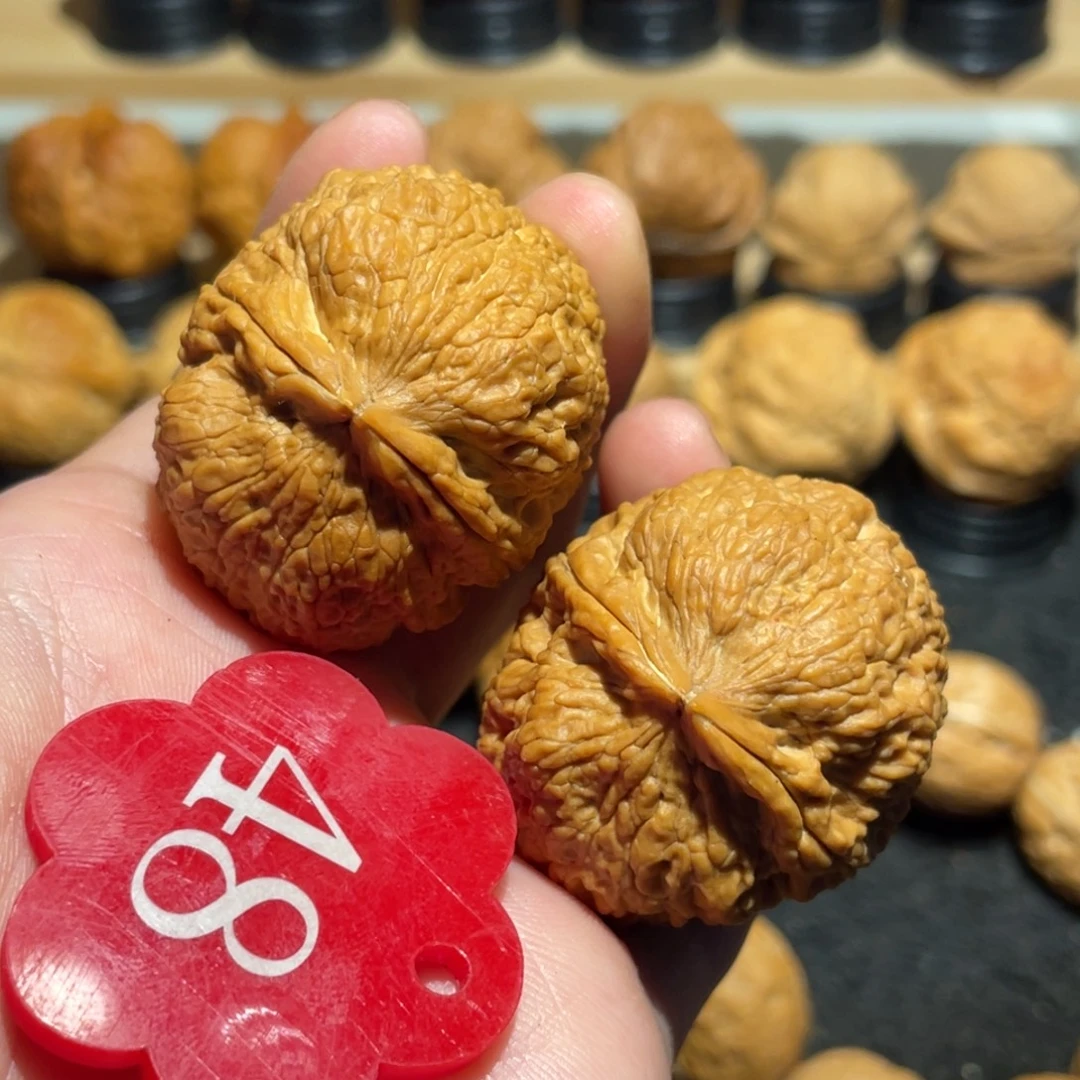 铁绣球核桃38。