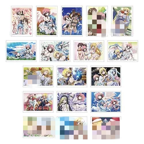 天降之物十五周年纪念相卡（代拆）