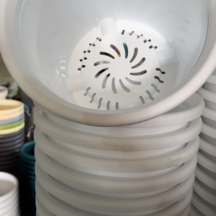 四季6号纯白无托7个特价微瑕