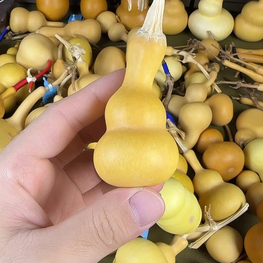 爱****）whshshshshshshshshshs