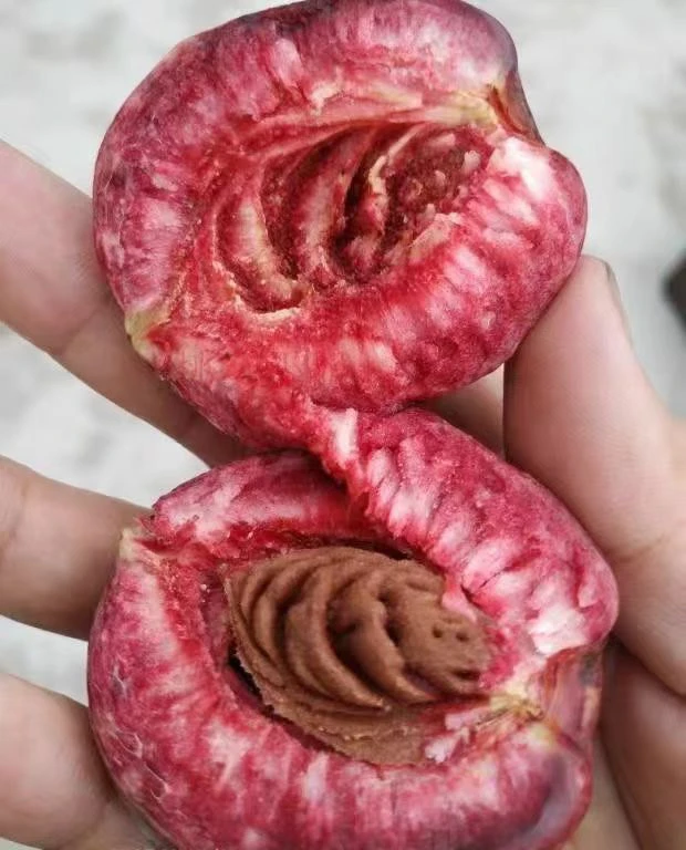 江苏如皋紫桃 离核油桃  应季水果  软糯酸甜（5斤）现摘现发