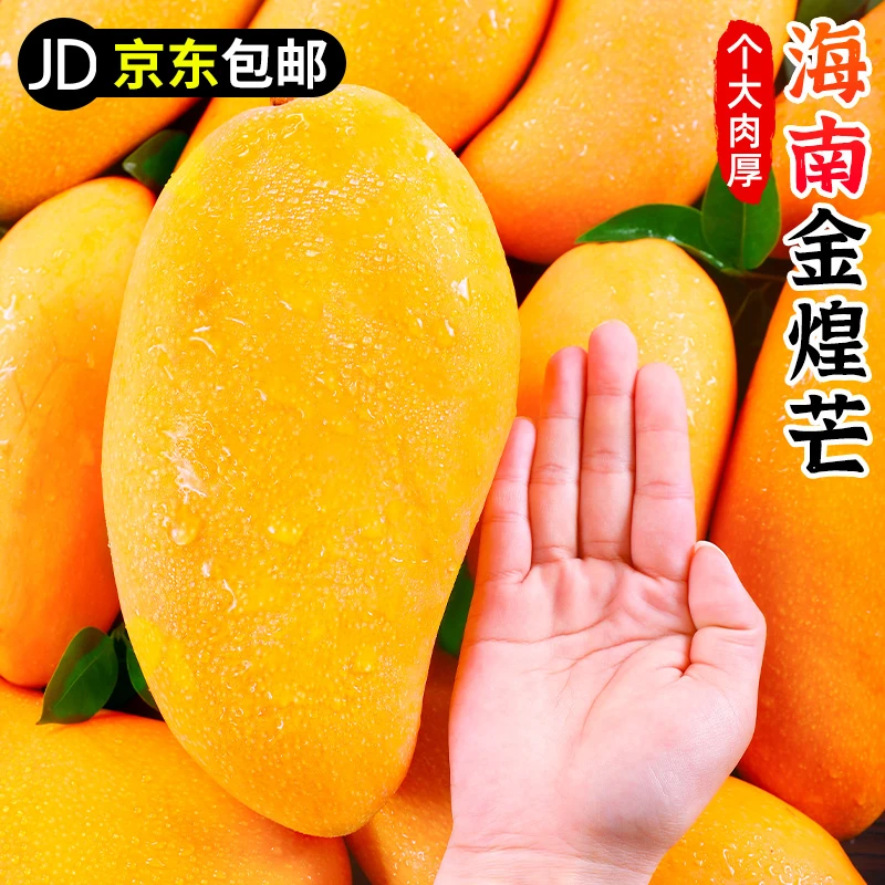 【京东包邮】海南金煌芒2-9斤正宗海南芒果水果产地直发香甜大芒果