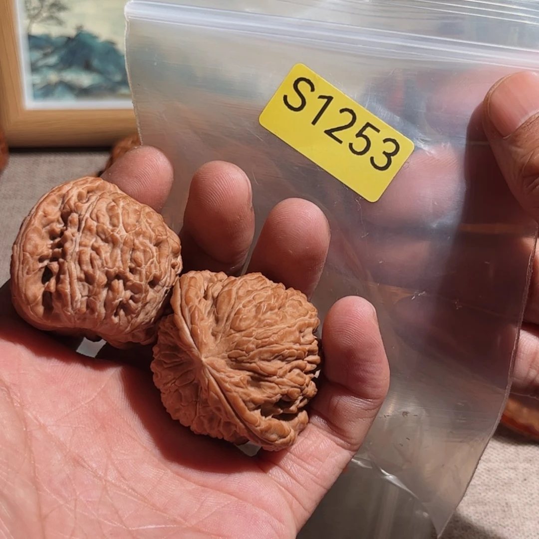 文玩核桃把件白狮子