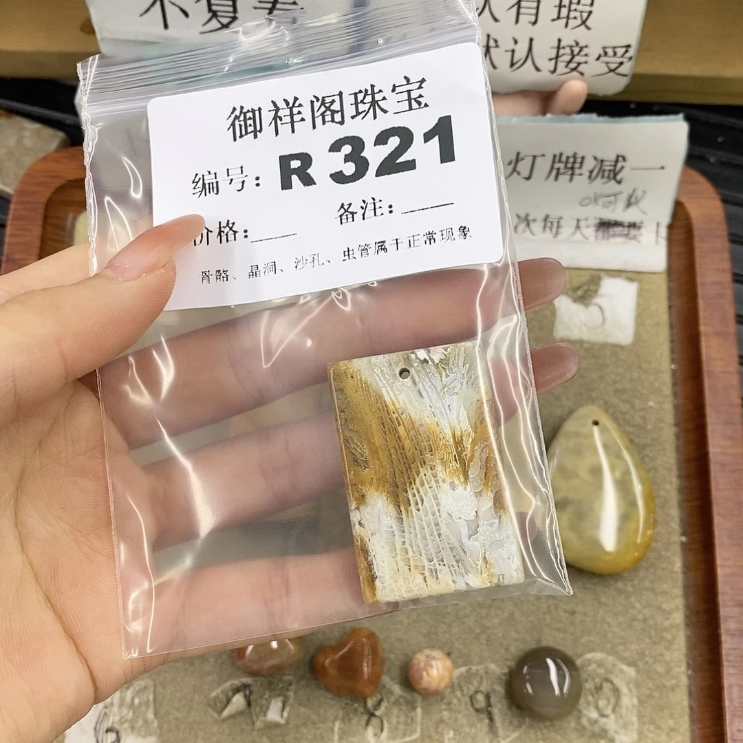 硅化珊瑚（珊瑚玉）未镶嵌颈饰一****儿