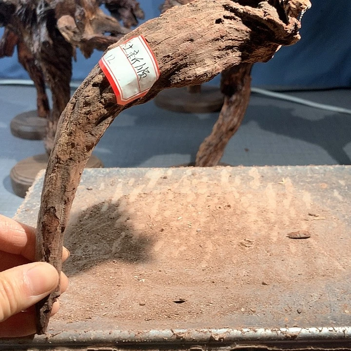 黄花梨/降香黄檀杜*顺