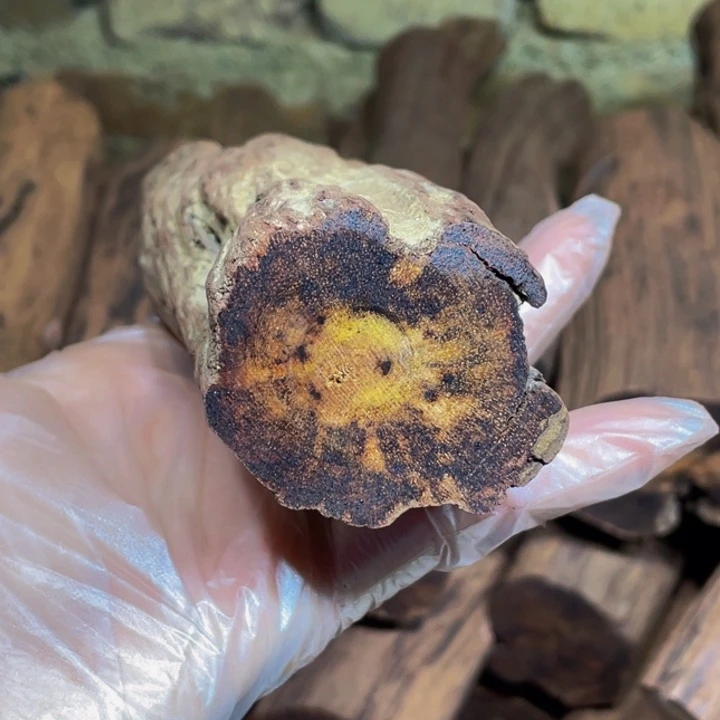 降真香手串/手链K*猫定制缅甸小叶降真香