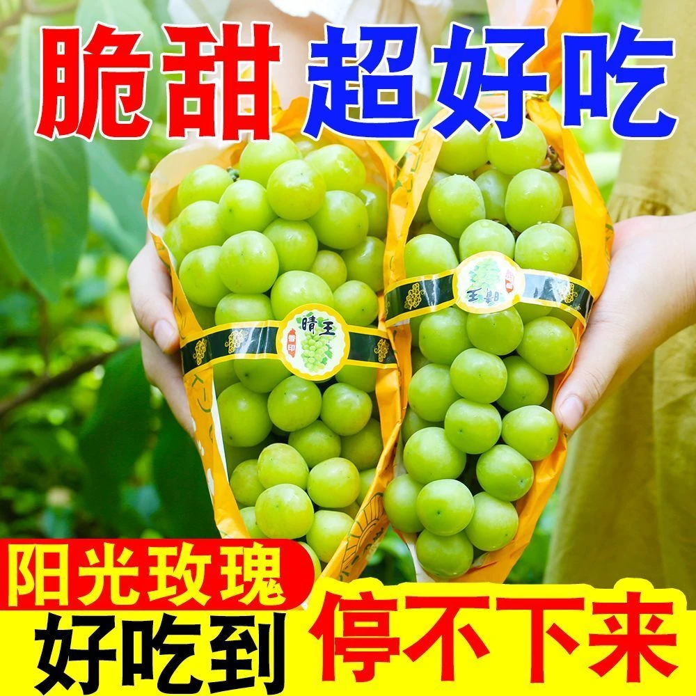 【顺丰包邮】正宗阳光玫瑰晴王无籽葡萄新鲜现摘产地直发