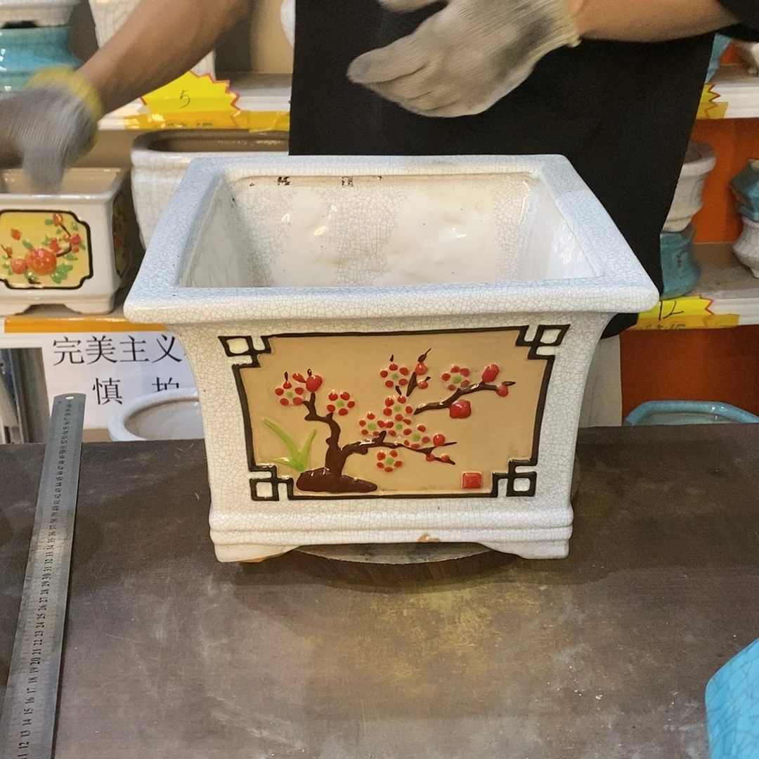 ?****?花盆花盆里的花