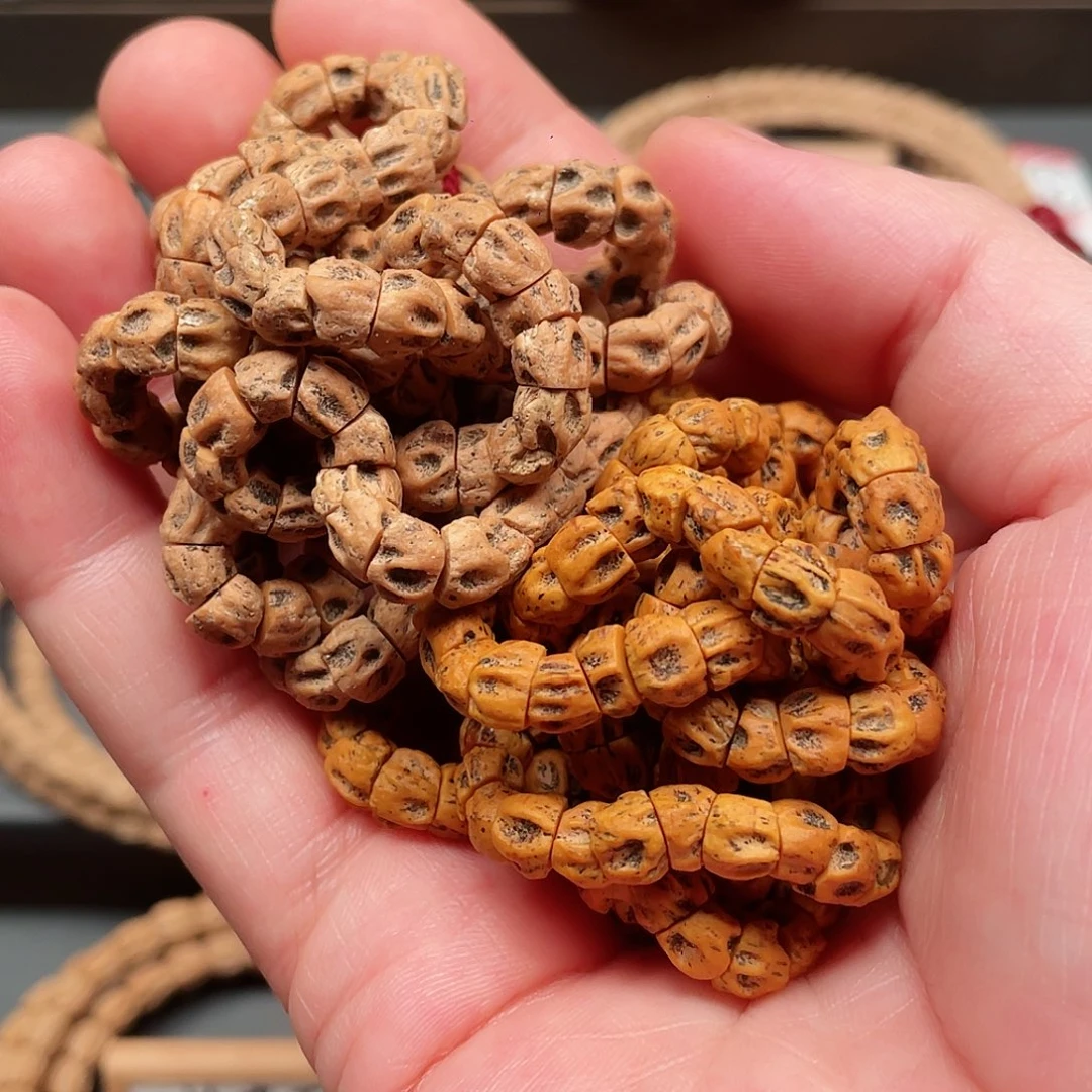 吊坠柏香籽/百香籽铁籽油皮尸坨林鬼肠