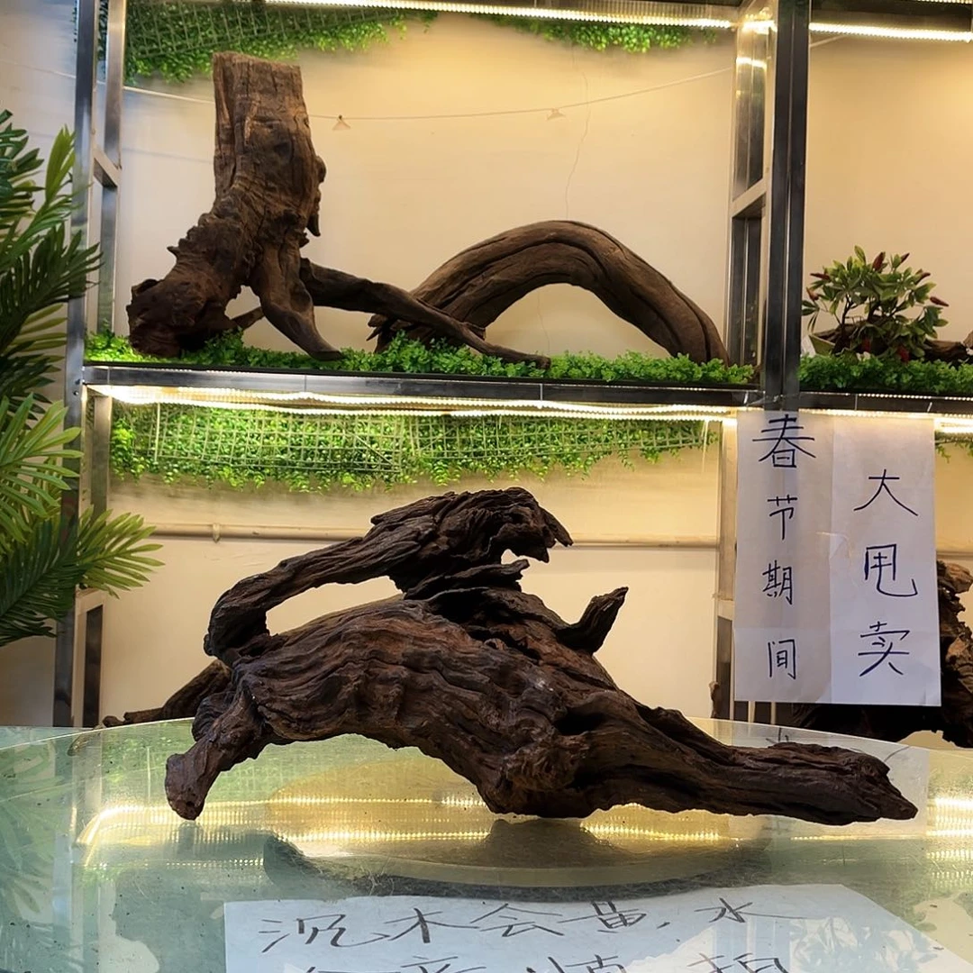 柚木七**鳢沉木鱼缸造景