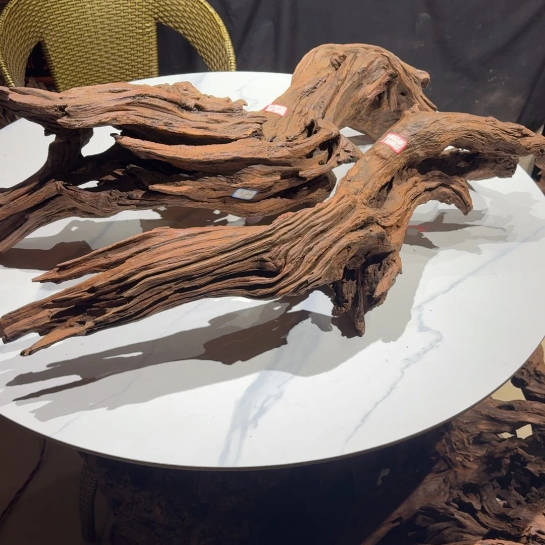 石***哥香榧木一物一拍鱼缸造景