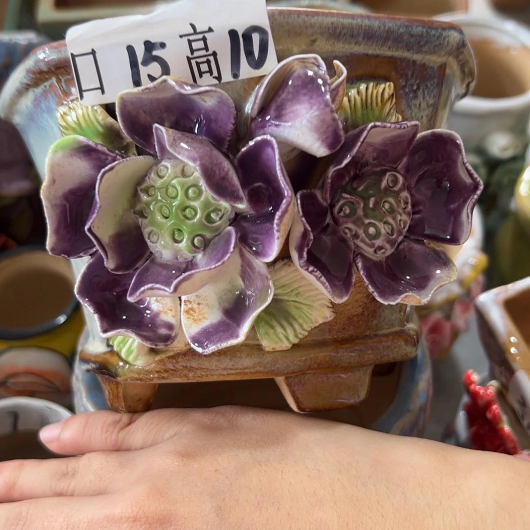 花盆，拍满20发货，退款拉黑