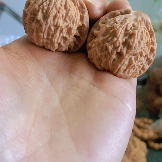 【闪购商品】把件文玩核桃38小众流星雨