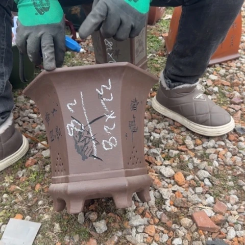 紫砂花盆紫砂花盆盆景盆栽