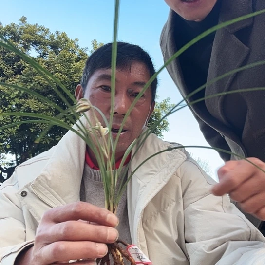 完全开放88888888