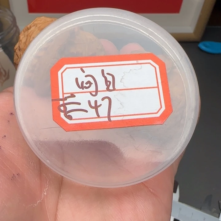 文玩核桃吊坠九**3