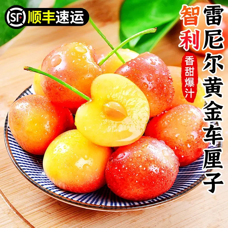 S3【顺丰】智利进口空运雷尼尔黄金车厘子J-5J&0.9-4.4斤内附果径卡